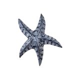 MINI ESTRELLA MAR 18CM (A)