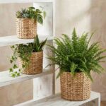 SET 3 CANASTOS GRASS 28 24 22CM (2) - Imagen 4