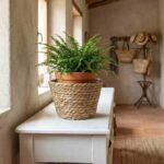 CESTO GRASS LISO 20CM (24) - Imagen 2