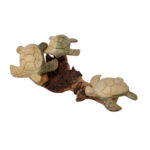 TORTUGA PARASIT (X3) 20CM