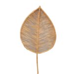 HOJA LARGA 120 CM
