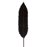 DECO HOJA NEGRA DELGADA 200CM