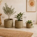 SET 3 PORTAMACETAS VERDES 18 24 29CM (12) - Imagen 3